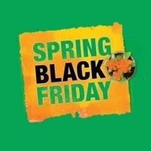 Spring Black Friday Is Here!