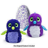 Hatchimals Draggles Blue/Purple Egg - One of Two Magical Creatures Inside - In Stores Only Hatchimals Draggles Blue/Purple Egg - One of Two Magical Creatures Inside - In Stores Only