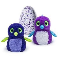 Hatchimals - Hatching Egg - Interactive Creature - Draggle - Blue/Purple Egg by Spin Master. Hatchimals - Hatching Egg - Interactive Creature - Draggle - Blue/Purple Egg by Spin Master.