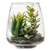 Faux Succulents in Glass Terrarium Aloe and Mixed Sedum (5.5") - Threshold Faux Succulents in Glass Terrarium Aloe and Mixed Sedum (5.5") - Threshold