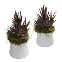 Mixed Succulent With White Planter Set of Two Mixed Succulent With White Planter Set of Two
