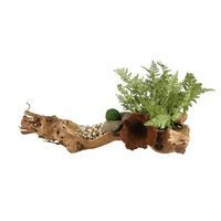 D&W Silks Small Forest Fern and Moss Stones in Wooden Log D&W Silks Small Forest Fern and Moss Stones in Wooden Log