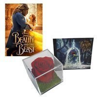 Luxe Bloom Rose Value Bundle w/ Beauty &amp; the Beast 2017 Digital Movie.