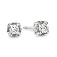 1/2 CT. T.W. Diamond 10K White Gold Stud Earrings 1/2 CT. T.W. Diamond 10K White Gold Stud Earrings