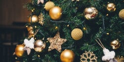 Best Black Friday and Cyber Monday Christmas Tree Deals to Shop 2024
