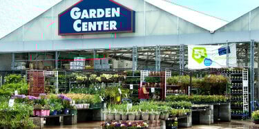 Article - Lowe's SpringFest Sale Starts Today - Discover Our Favorite Deals Here
