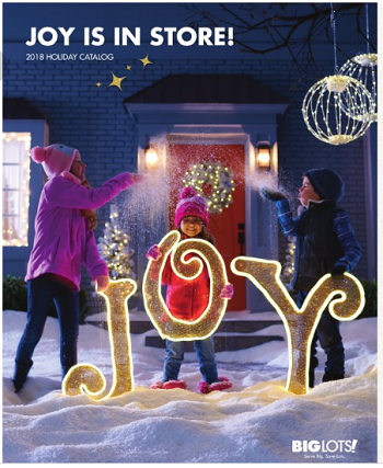 Big lots holiday book cover