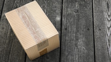 Article - Amazon Prime Day vs. Black Friday in July Competitor Sales