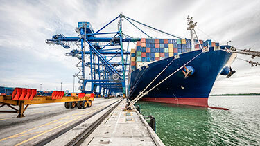 Article - How Supply Chain Issues Will Affect Holiday Shopping in 2021(and How to Get Around Them)