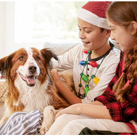 Save 20% Off $50 Or More When You Buy Online & Pick Up In Store