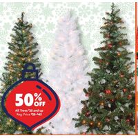 50% off All Trees