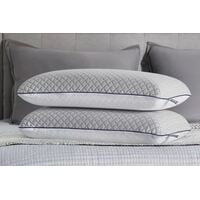 $29 Sealy Essentials Cool Touch Memory Foam Bed Pillow 2-Pack