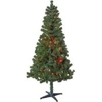 50% Off All Christmas Trees