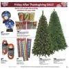 AAFES Black Friday 2012 Ad Page 29
