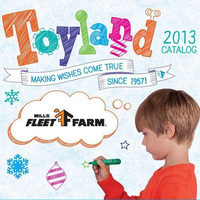 Mills Fleet Farm Toyland Catalog 2013