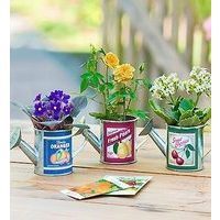 Vintage Watering Cans (Assorted)