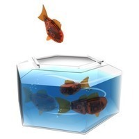 Hexbug Aquabot Robotic Fish with Bowl