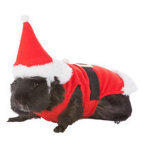 All Living Things™ Santa Costume