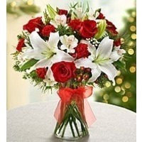 Cyber Monday Special Offer! Free Shipping No Service Charge With Code FRSPAFF