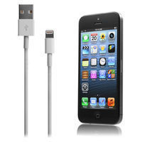 Apple iPhone 5 5S 5C iPad iPod Lightning to USB Data Cable