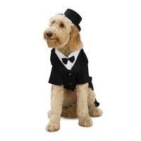 Dapper Dog Tuxedo X-Large Pet Costume